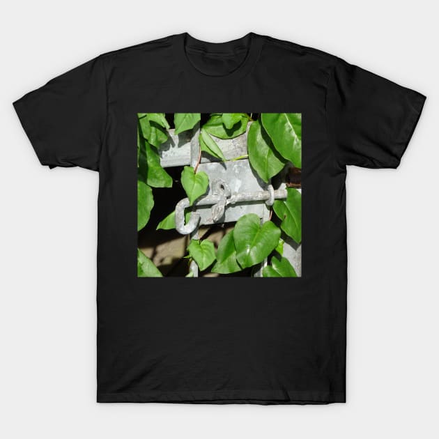 LOCK VERSUS LEAVES T-Shirt by Julie Vaux